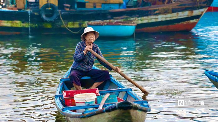 Không chỉ là nơi tiêu thụ hải sản, chợ nổi Nghĩa An còn phản ánh nhịp sống của những ngư dân vẫn ngày ngày gắn bó với nghề biển gần bờ.