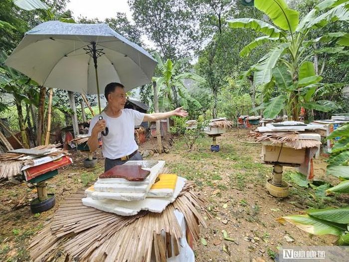 Nghề nuôi ong lấy mật đòi hỏi nhiều kinh nghiệm và sự kiên trì.
