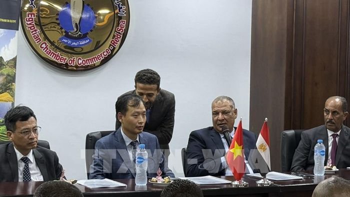 Đại sứ Nguyễn Nam Dương và Chủ tịch Phòng Thương mại tỉnh Biển Đỏ Khaled Abdelgelyl chủ trì Diễn đàn “Quan hệ đối tác kinh tế Việt Nam – Ai Cập: Tăng trưởng và cơ hội”. Ảnh: Hoàng Nhương - Phóng viên TTXVN tại Ai Cập