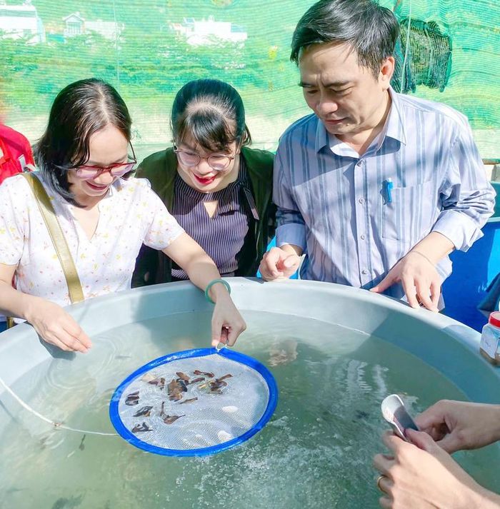 GS.TS. Phạm Quốc Hùng, Phó Hiệu trưởng Trường Đại học Nha Trang cùng các nhà khoa học khảo sát nghiên cứu về ươm nuôi giống thủy sản. 