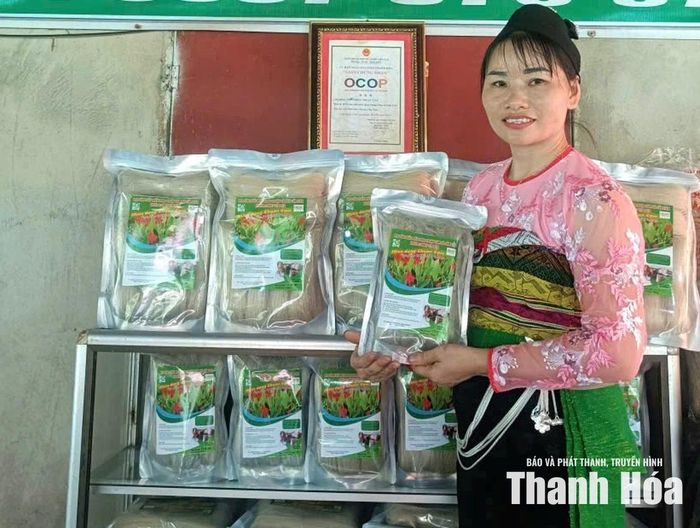 Sản phẩm miến dong của Hợp tác xã sản xuất miến dong Thuận Tâm Cẩm Liên, xã Cẩm Thạch đạt chứng nhận OCOP 3 sao.
