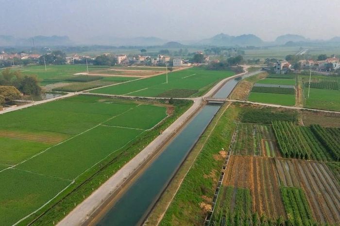 Bao quanh Làng du lịch Yên Trung là không gian đồng quê xanh mát, trong lành. Ảnh: Fanpage Làng du lịch Yên Trung - Yên Định