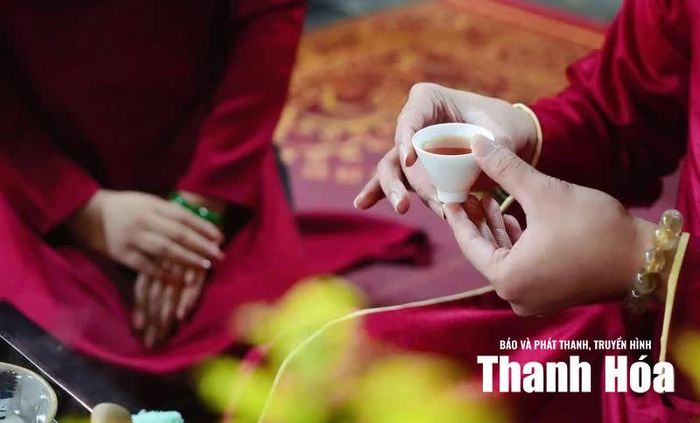 Chén trà kết nối, nơi tinh túy đất trời gặp gỡ tâm người