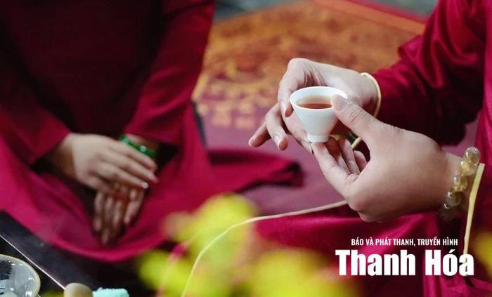 Chén trà kết nối, nơi tinh túy đất trời gặp gỡ tâm người