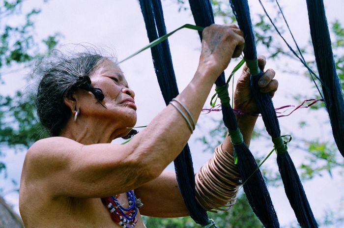 Lấy lá a yâng buộc sợi trước khi nhuộm.