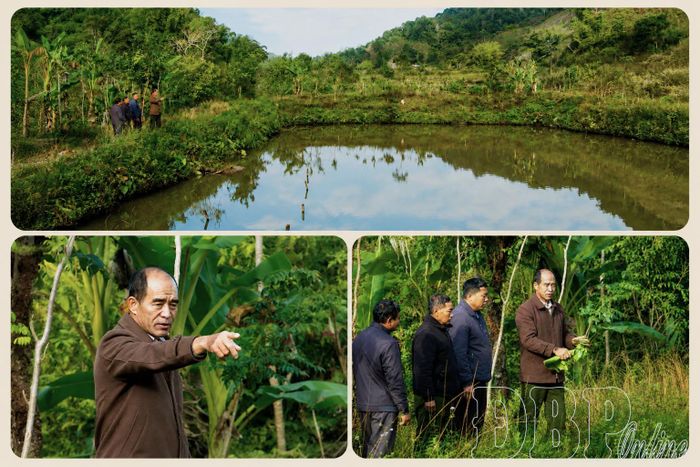 Ông Sừng Sừng Khai (bản A Pa Chải) tích cực hướng dẫn các hộ dân trên địa bàn phát triển kinh tế.