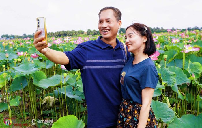 Du khách thích thú ghi lại những khoảnh khắc giữa cánh đồng sen đang vào độ đẹp nhất. Ảnh: Thủy Tiên