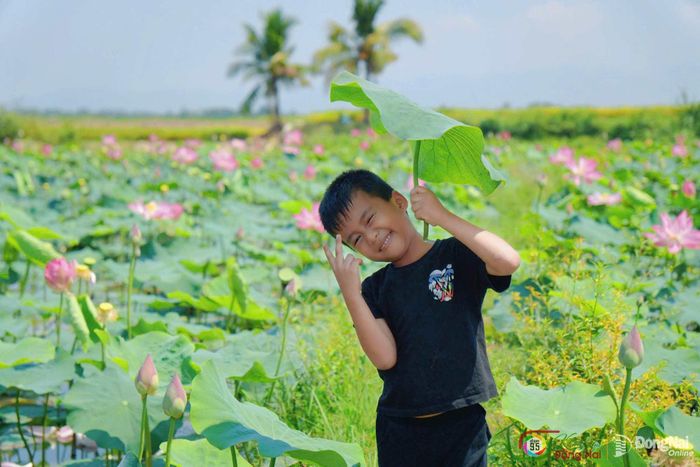 Em nhỏ vui vẻ khám phá cánh đồng sen. Ảnh: Thủy Tiên