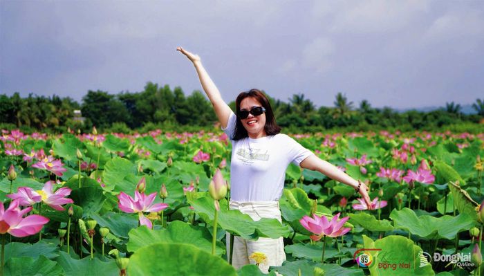 Không gian trong lành cùng hương sen dịu nhẹ mang đến trải nghiệm đặc trưng cho du khách. Ảnh: Thủy Tiên