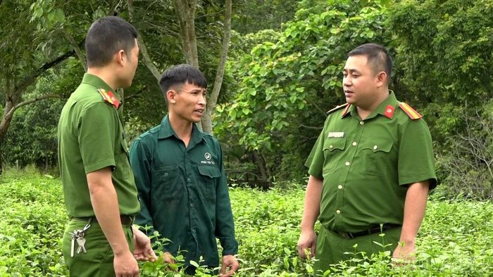  Tỉnh phấn đấu tối thiểu 75% có việc làm hoặc sinh kế ổn định sau 12 tháng. 
