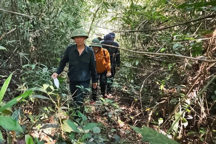 Lực lượng bảo vệ rừng Ban Quản lý rừng phòng hộ Tánh Linh tiến hành tuần tra, kiểm soát rừng