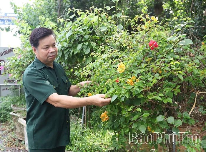Cựu TNXP Đặng Văn Nhung, xã Hiền Quan, điển hình trong phát triển kinh tế.