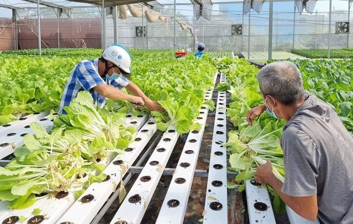 Nghị quyết số 48/2026/NQ-HĐND đã bổ sung nhiều chính sách hỗ trợ khu vực kinh tế tư nhân. Ảnh minh họa
