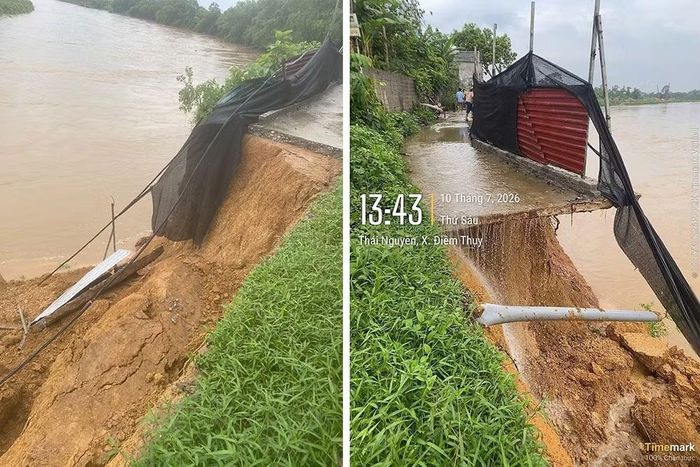 Nguy cơ sạt lở tại các hộ dân sinh sống ven sông.