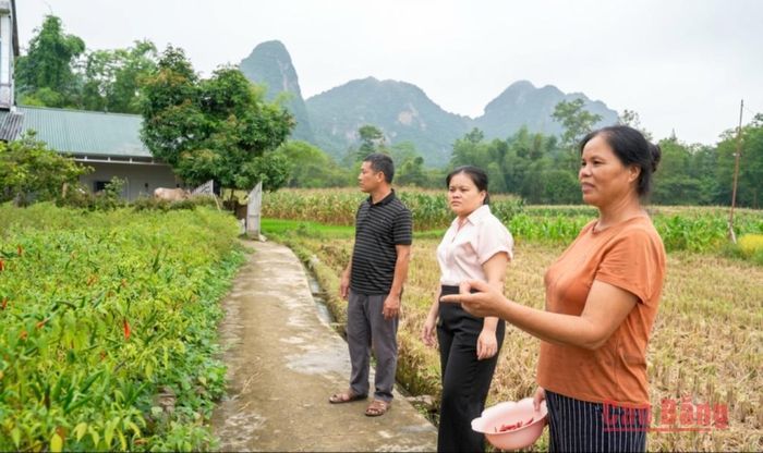 Chuyên viên UBND xã Hòa An đến kiểm tra tình hình thiệt hại sau mưa lũ.