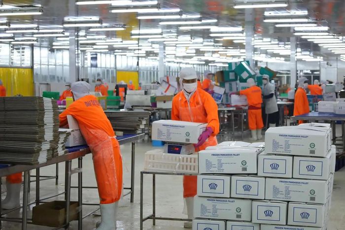 Thông tư số 86/2026/TT-BTC quy định về quản lý thuế đối với hàng hóa xuất khẩu. Ảnh minh họa.