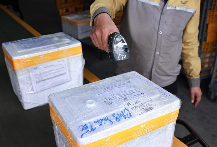 Toàn bộ các thùng mẫu sinh phẩm ADN được ưu tiên xử lý theo hình thức chuyển phát nhanh siêu tốc. Ảnh: Vietnam Post
