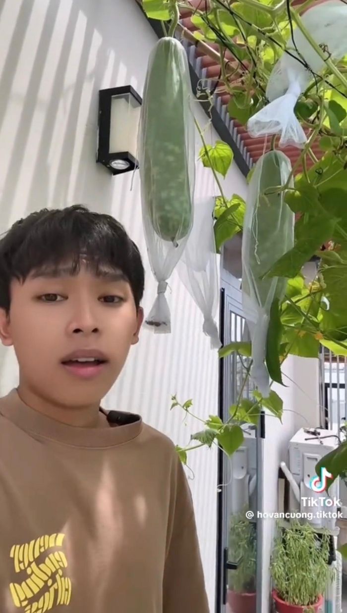 Hồ Văn Cường có cuộc sống giản dị, yêu thích chăm sóc vườn cây mỗi khi rảnh rỗi.