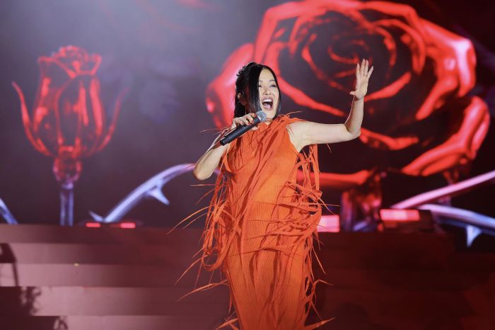 Diva Hồng Nhung