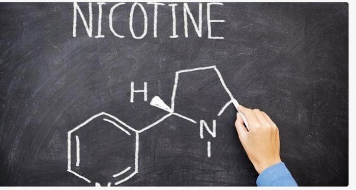 Sự xuất hiện của các sản phẩm nicotine mới, trong đó có túi ngậm nicotine (nicotine pouches), đang đặt ra một thách thức mới trong phòng chống tác hại thuốc lá.