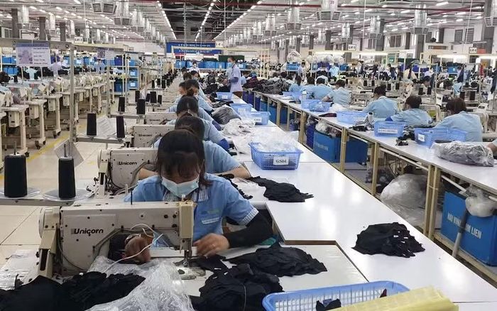Hoạt động cho thuê lại lao động hỗ trợ doanh nghiệp bổ sung nhân lực trong từng thời điểm.
