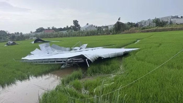 Dông lốc thổi bay mái nhà dân xuống ruộng lúa ở phường Trung Nhứt.
