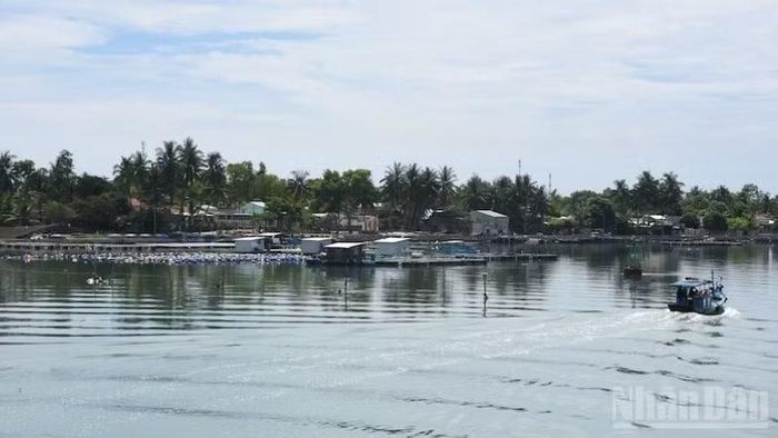 Vùng nuôi thủy sản ven bờ của người dân Đà Nẵng.