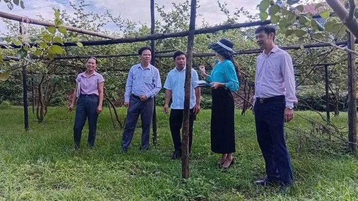 Cán bộ tín dụng gắn bó và tận tình giúp dân sử dụng vốn chính sách phát triển sản xuất kinh doanh.