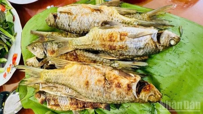 Cá suối nướng, một trong những món ăn miệt vườn tại Lâm Sơn được du khách yêu thích khi trải nghiệm tại Lâm Sơn.