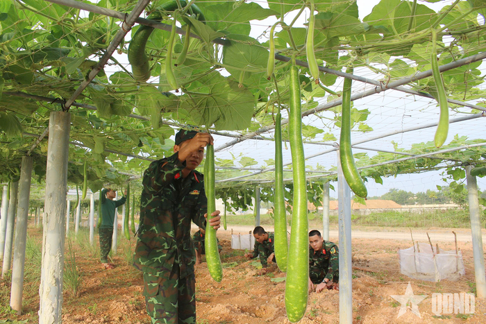 Trung tâm Huấn luyện - Đào tạo luôn coi trọng đẩy mạnh tăng gia sản xuất.