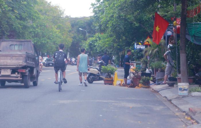Người đi bộ và đi xe đạp phải né, ô tô phải lấn làn ngược chiều để đi qua đoạn đường có vườn cây cảnh "ôm" cả lòng đường