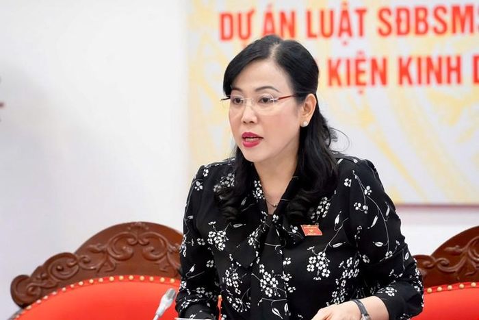 Chủ nhiệm Ủy ban Khoa học, Công nghệ và Môi trường Nguyễn Thanh Hải. Ảnh: CẨM HÀ
