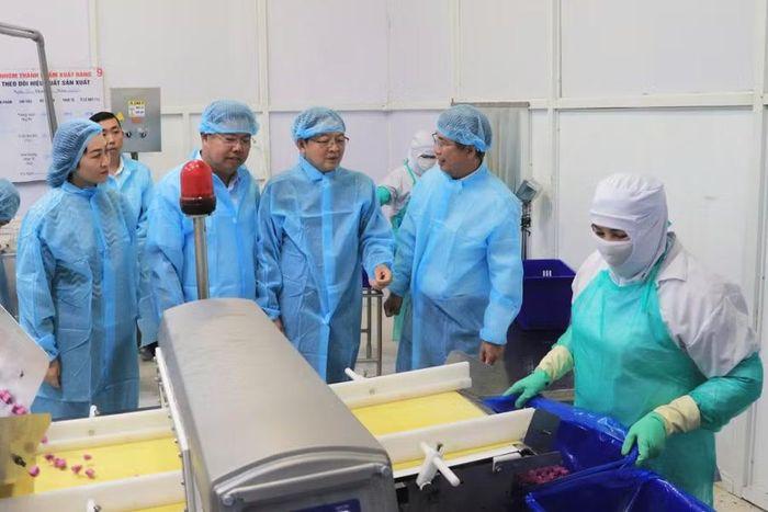 Phó Thủ tướng Hồ Quốc Dũng và Bí thư Tỉnh ủy An Giang Nguyễn Tiến Hải tham quan quy trình sản xuất tại Công ty Cổ phần Rau quả thực phẩm An Giang.