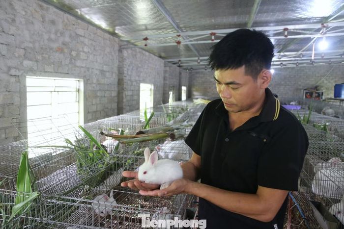 Mô hình nuôi thỏ của anh Võ Quốc Tuấn không chỉ mang lại hiệu quả kinh tế mà còn mở ra hướng phát triển nông nghiệp gắn với du lịch trải nghiệm.