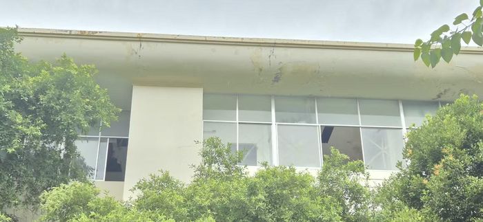 Nhìn bằng mắt thường cơ sở hạ tầng, tường với mảng sơn bong tróc, cây cối mọc um tùm