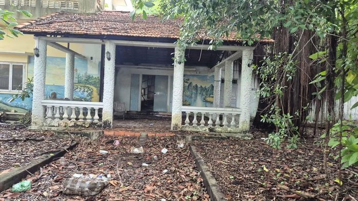 Trước đây, đất Cụm 5 là trụ sở Nhà thiếu nhi tỉnh Bà Rịa - Vũng Tàu, trụ sở làm việc của Công ty TNHH Hương Phong - đây là một doanh nghiệp kinh tế Đảng do Văn phòng Tỉnh ủy Bà Rịa - Vũng Tàu quản lý.