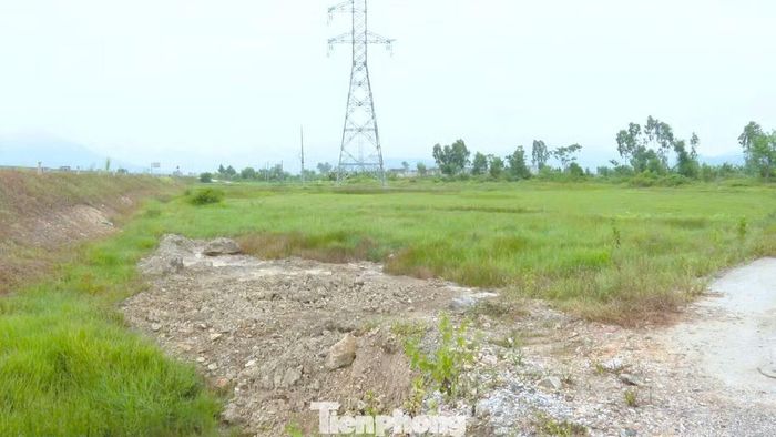 Những thửa ruộng rơi vào tình trạng khó canh tác, nhiều diện tích phải bỏ hoang.