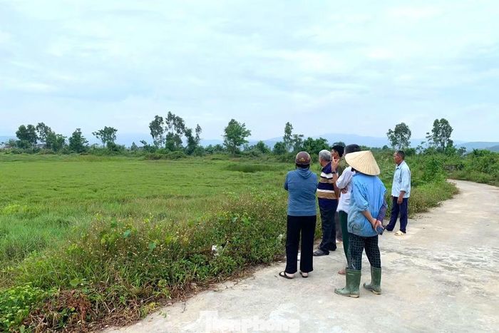 Từng là những cánh đồng hai vụ lúa, khu vực này đã bị bỏ hoang suốt nhiều năm.