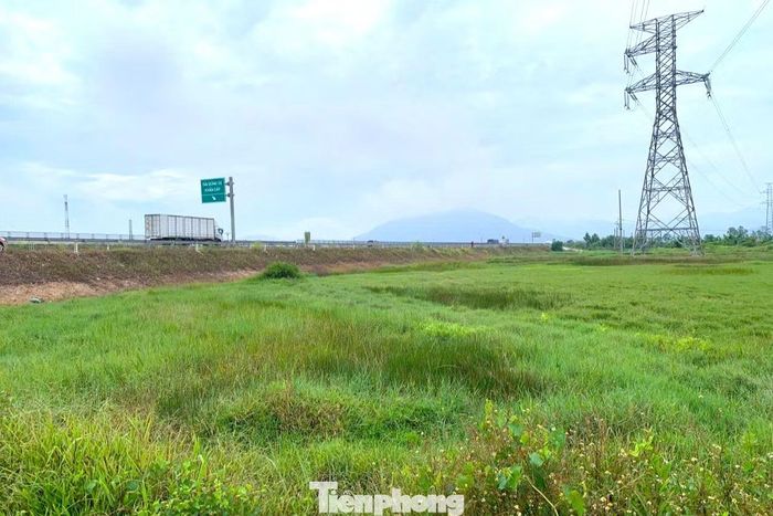 Ruộng sát tuyến cao tốc Bắc - Nam đoạn qua xã Tân Châu (Nghệ An) bỏ hoang do kênh mương bị vùi lấp.