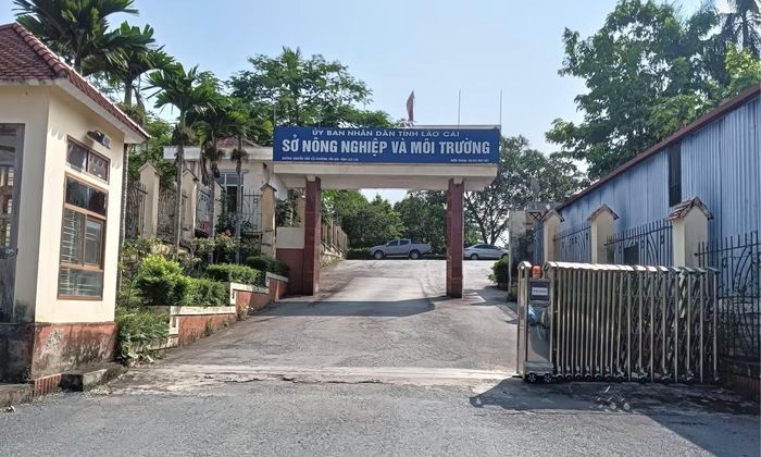 Cơ quan Công an đang điều tra nguyên nhân vụ việc.