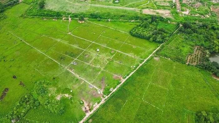 Trong nhiều năm, khu đất quy hoạch công viên gần như bị bỏ hoang, nhiều diện tích trở thành bãi đất trống và đất nông nghiệp xen kẽ.