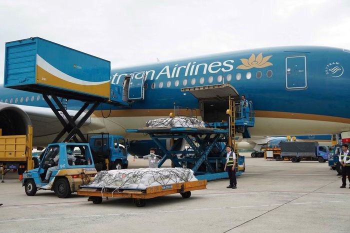 Công tác chuẩn bị đưa thi thể 15 nạn nhân người Ấn Độ về nước được chuẩn bị chu đáo chiều 13/7. Ảnh: Sở Ngoại vụ TPHCM