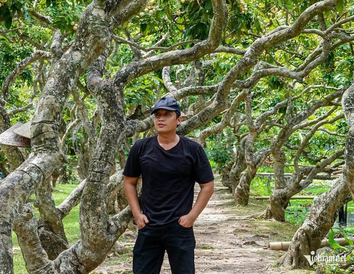 Anh Duy Tân đánh giá vườn nhãn cổ là một trong những điểm trải nghiệm miệt vườn đặc sắc ở Cần Thơ