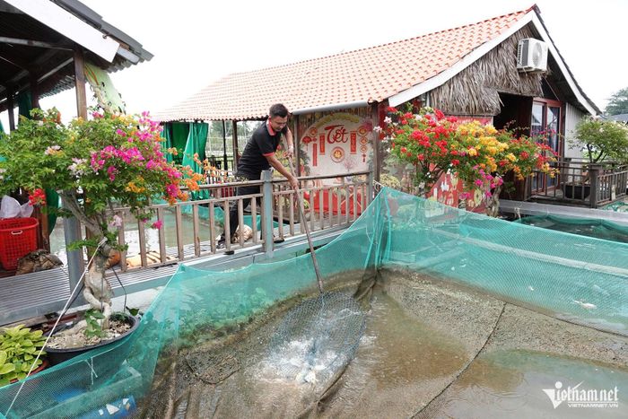 Làng bè của anh Dương Kế Hiền nằm giữa dòng sông Hậu (phường Bình Thủy, TP Cần Thơ), nơi nuôi nhiều loại cá đặc sản miền Tây
