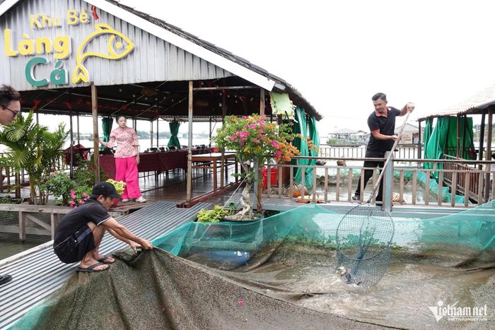 Không gian bè nổi giữa sông Hậu được cải tạo thành điểm tham quan, góp phần đa dạng sản phẩm du lịch cộng đồng