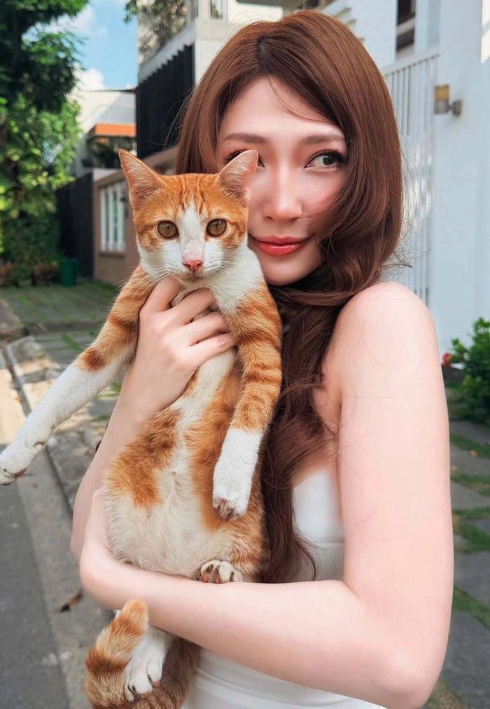 Khổng Tú Quỳnh bồng thú cưng dạo phố. 