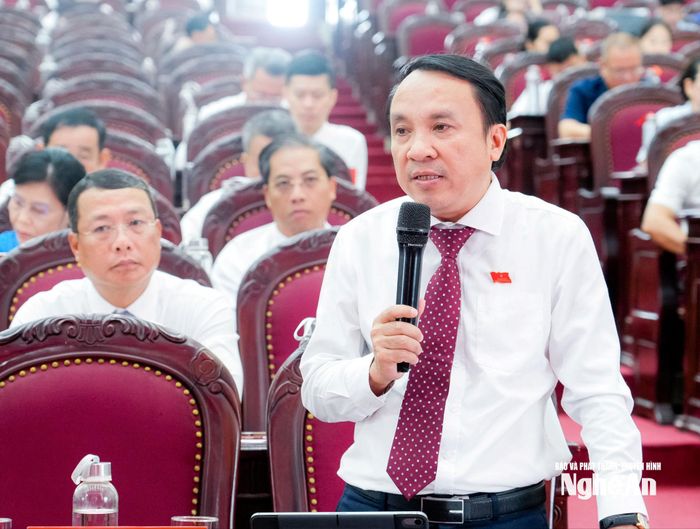 Phó Chủ tịch Thường trực HĐND tỉnh Dương Đình Chỉnh phát biểu định hướng các nội dung thảo luận. Ảnh: Phạm Bằng