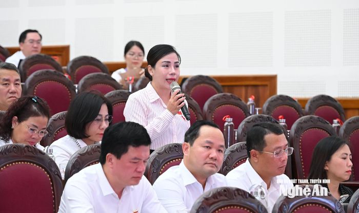 Đại biểu Lê Thị Thúy Hằng thảo luận tại hội trường. Ảnh: Thành Cường