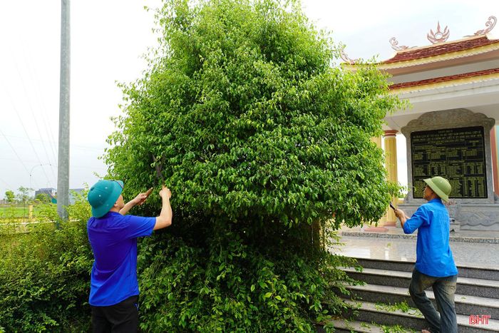 Những hoạt động thiết thực thu hút đông đảo đoàn viên, thanh niên tham gia, lan tỏa đạo lý "Uống nước nhớ nguồn" trên khắp địa bàn tỉnh.