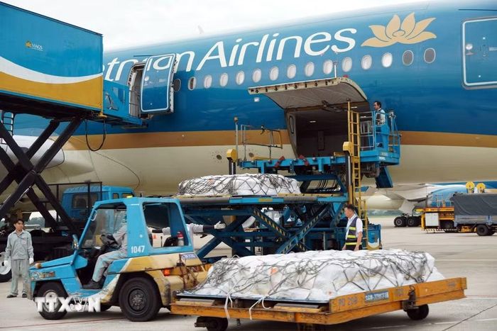 Đưa thi hài các du khách Ấn Độ tử nạn trong vụ lật Cano tại Phú Quốc ngày 11/7 lên máy bay về nước. (Ảnh: TTXVN phát)